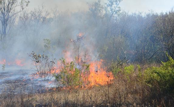 В Севастополе горело поле возле Монастырского шоссе
